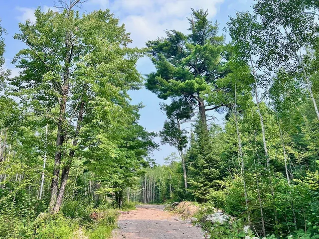 $72,000 | Parcel B Parcel B Vermilion Lake Road, Cook, MN 55723