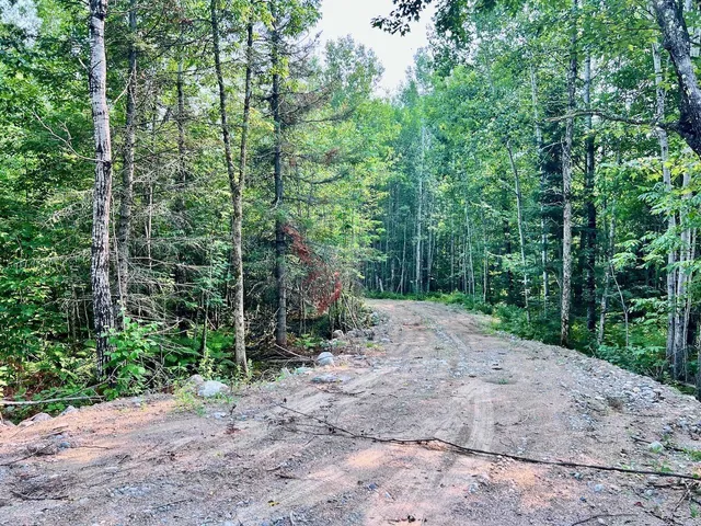 $72,000 | Parcel B Parcel B Vermilion Lake Road, Cook, MN 55723