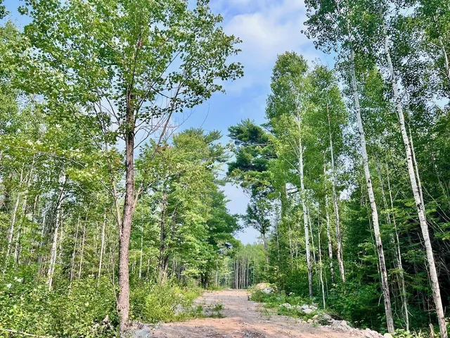 $72,000 | Parcel B Parcel B Vermilion Lake Road, Cook, MN 55723