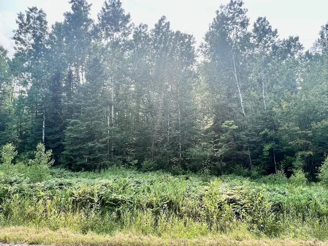 $72,000 | Parcel B Parcel B Vermilion Lake Road, Cook, MN 55723