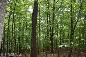 $29,500 | 0 Greenstreet Drive, Traphill, NC 28685