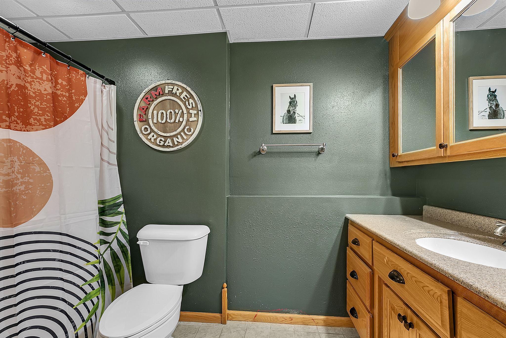 7501 427th Street Rice, MN 56367 - Photo 20 of 33