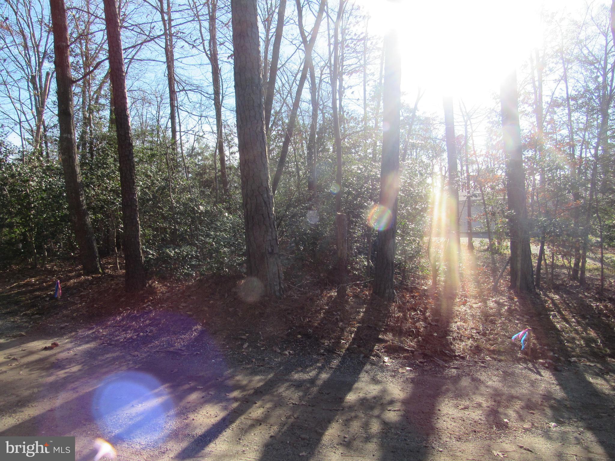 Lot 150 Lot Dameron, MD 20628 - Photo 3 of 10