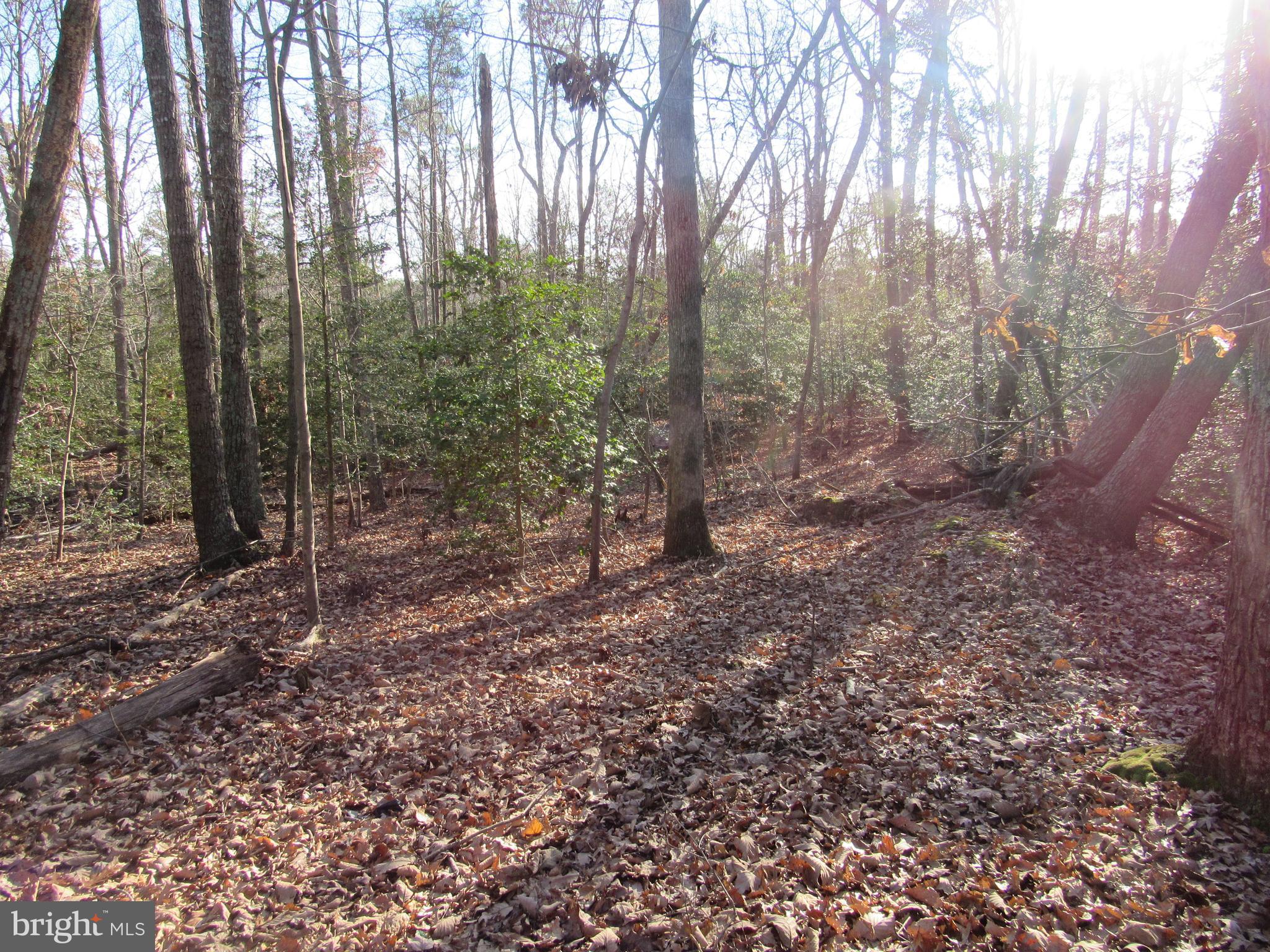 Lot 150 Lot Dameron, MD 20628 - Photo 4 of 10