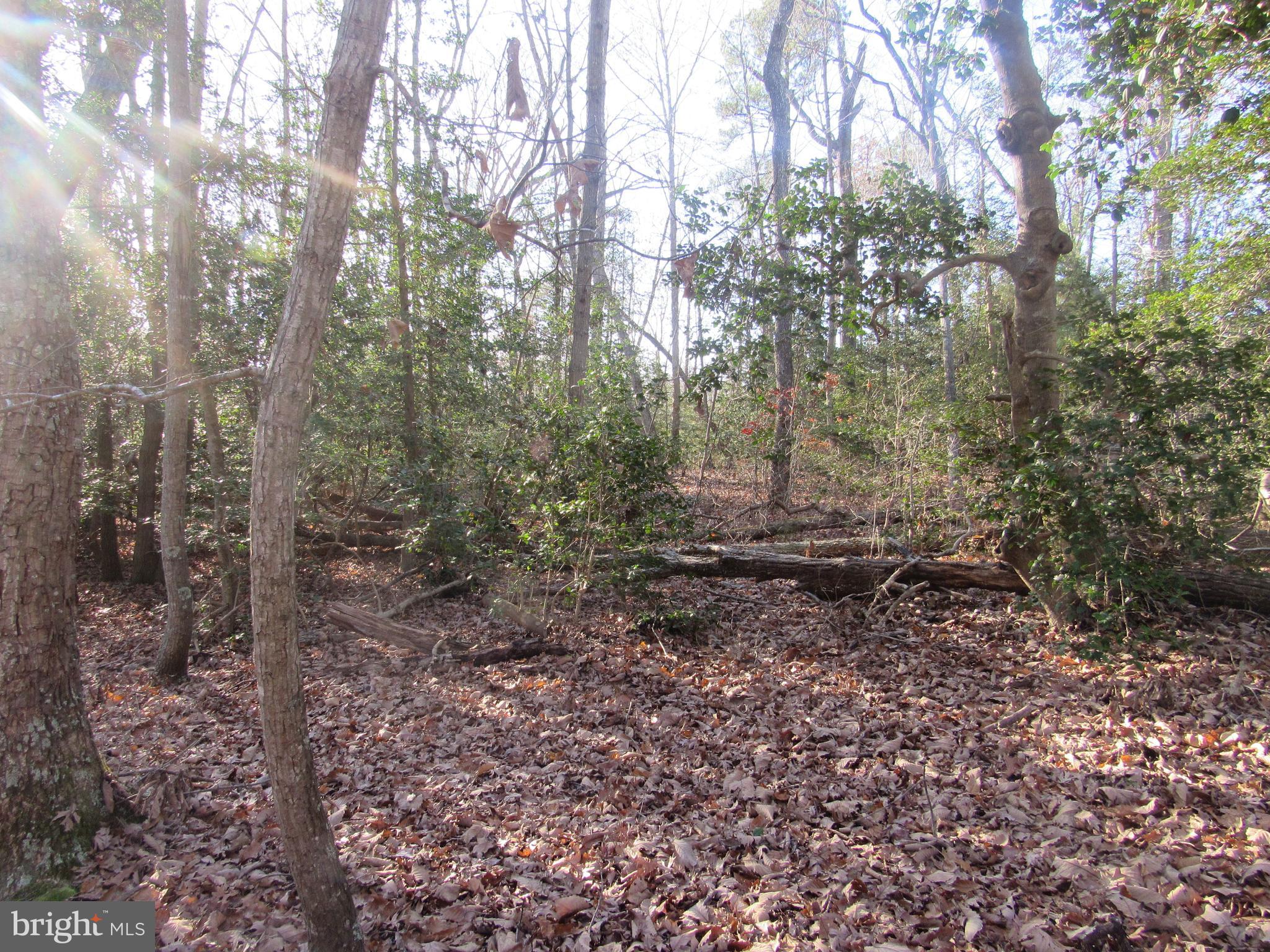 Lot 150 Lot Dameron, MD 20628 - Photo 5 of 10