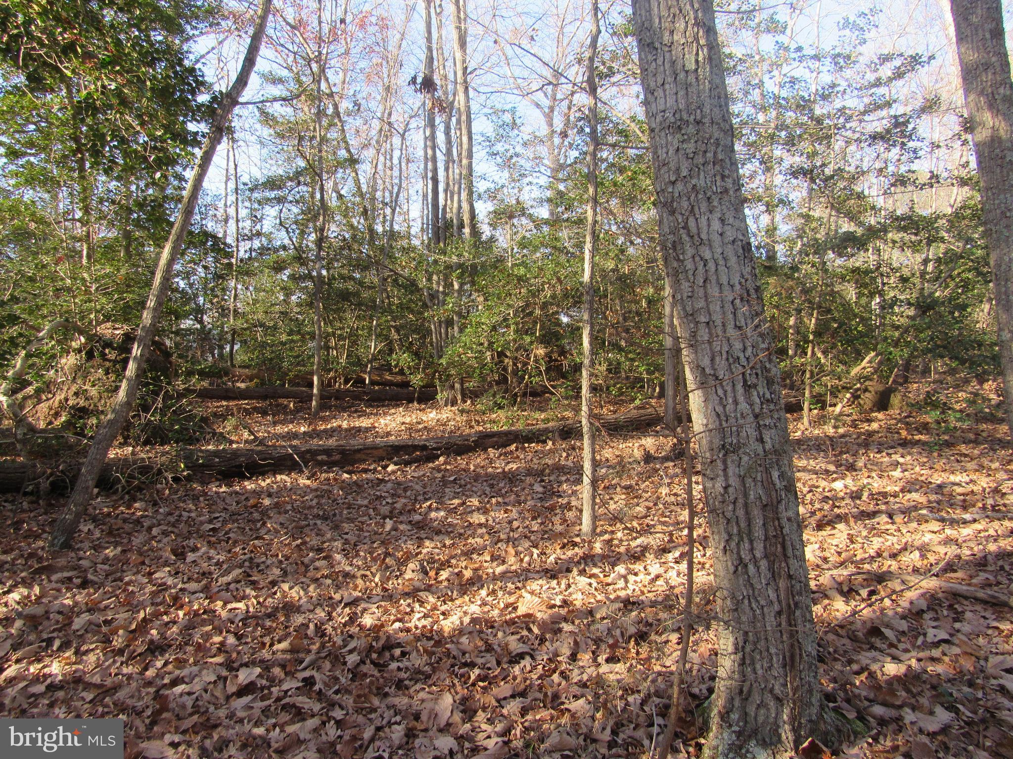 Lot 150 Lot Dameron, MD 20628 - Photo 6 of 10