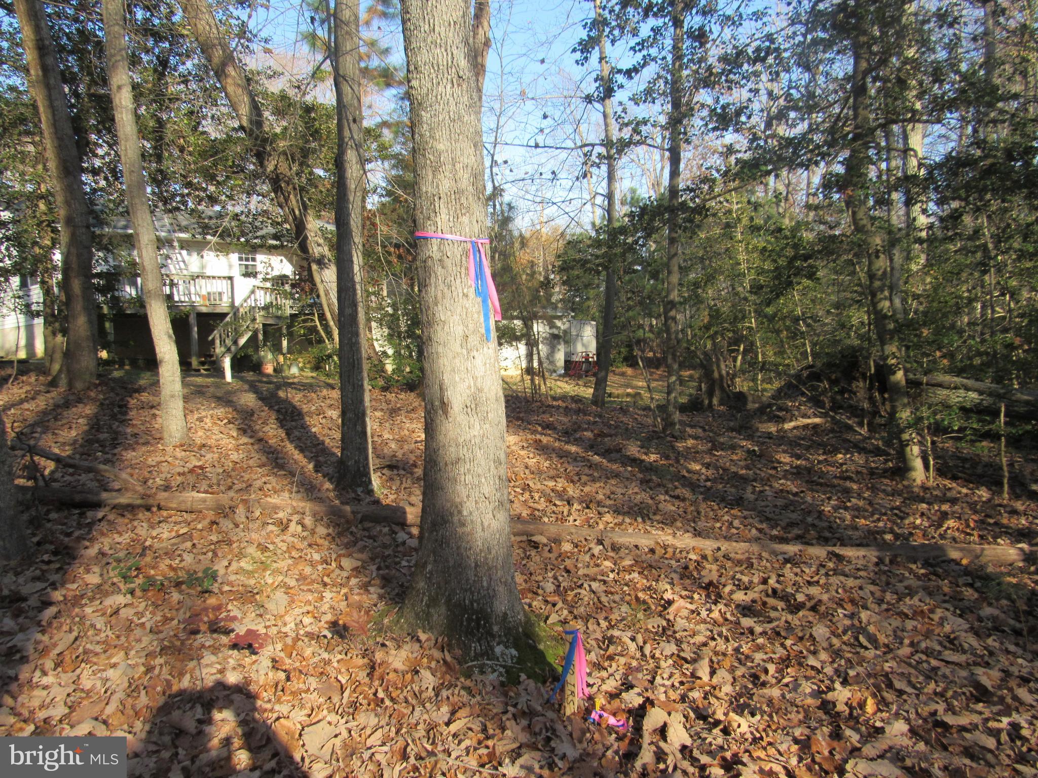 Lot 150 Lot Dameron, MD 20628 - Photo 7 of 10