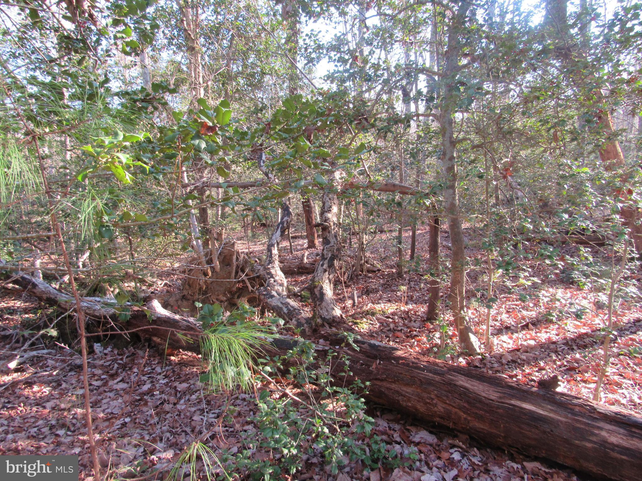 Lot 150 Lot Dameron, MD 20628 - Photo 9 of 10