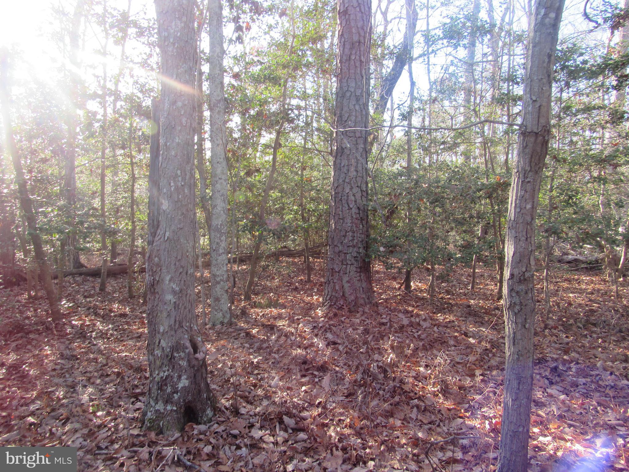 Lot 150 Lot Dameron, MD 20628 - Photo 10 of 10