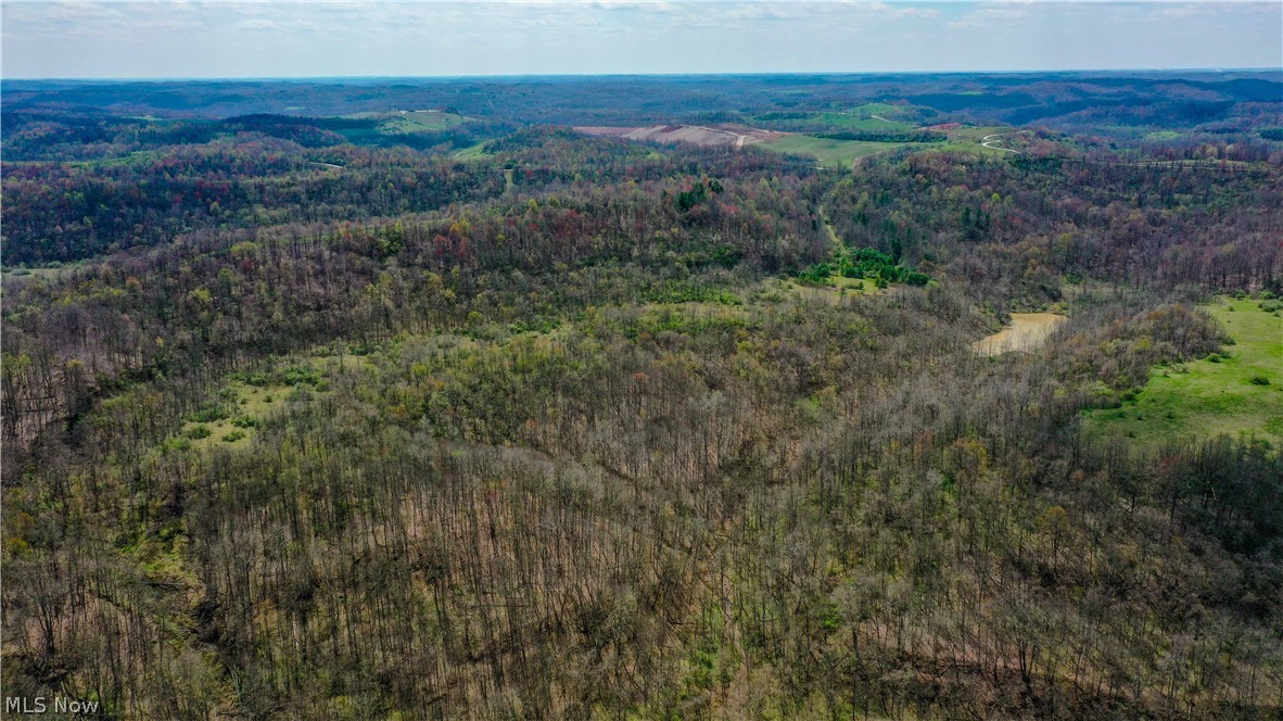 Rado Ridge Road Caldwell, OH 43724 - Photo 19 of 35 Gallery Image 19