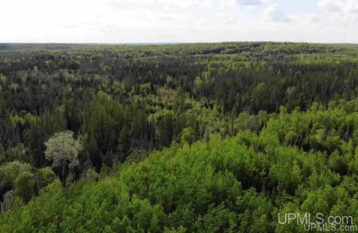 Tbd Off Triangle Ranch Road Amasa, MI 49903 - Photo 4 of 18