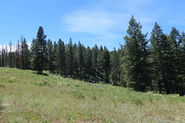 $429,000 | Tbd Council Cuprum Road, Council, ID 83612
