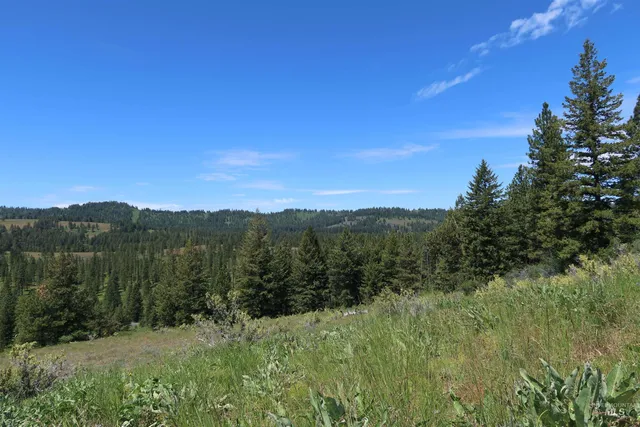 $429,000 | Tbd Council Cuprum Road, Council, ID 83612