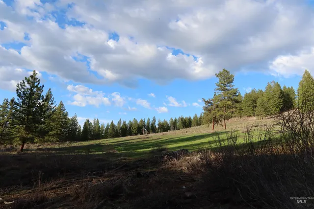 $429,000 | Tbd Council Cuprum Road, Council, ID 83612