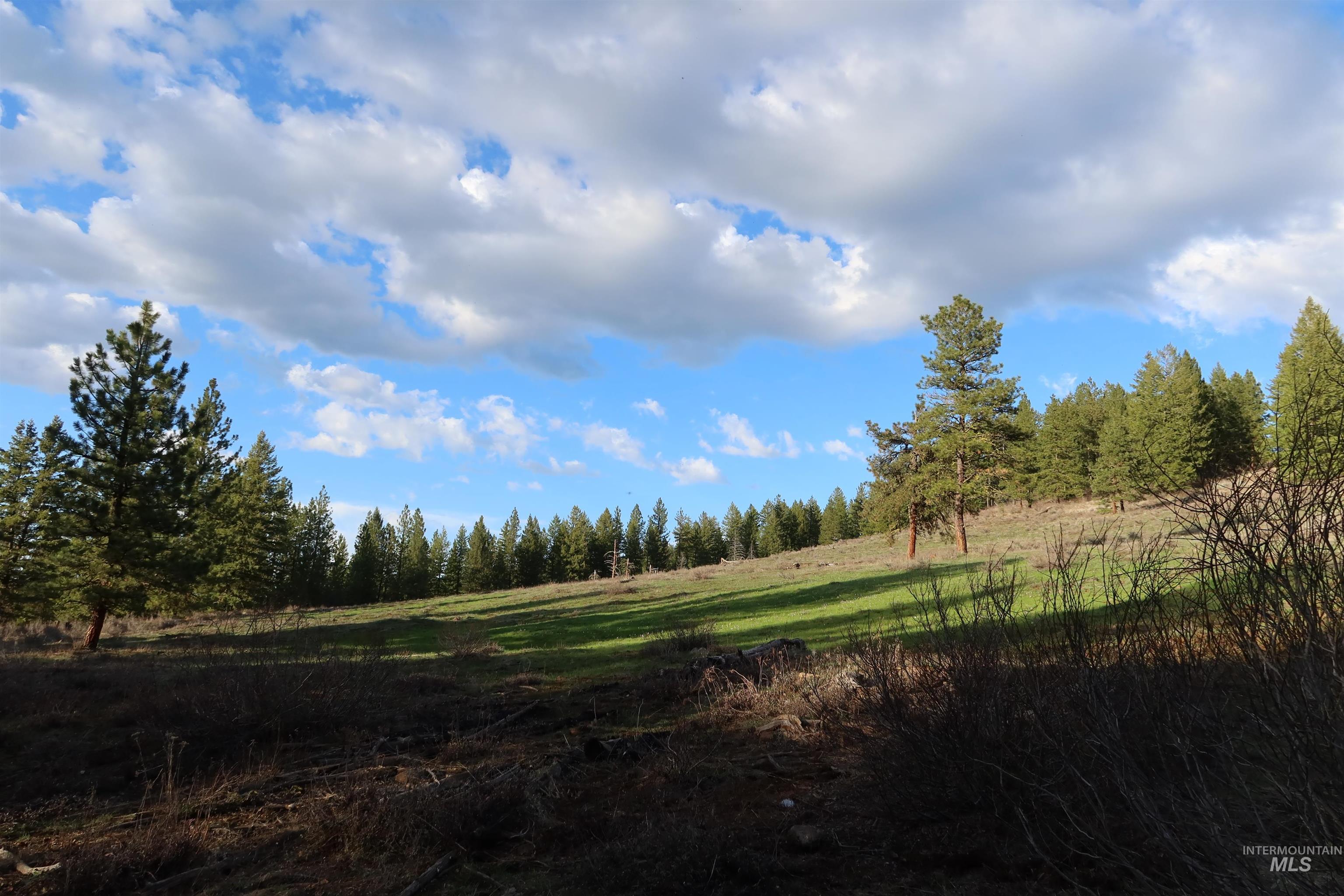 Tbd Council Cuprum Road Council, ID 83612 - Photo 8 of 34