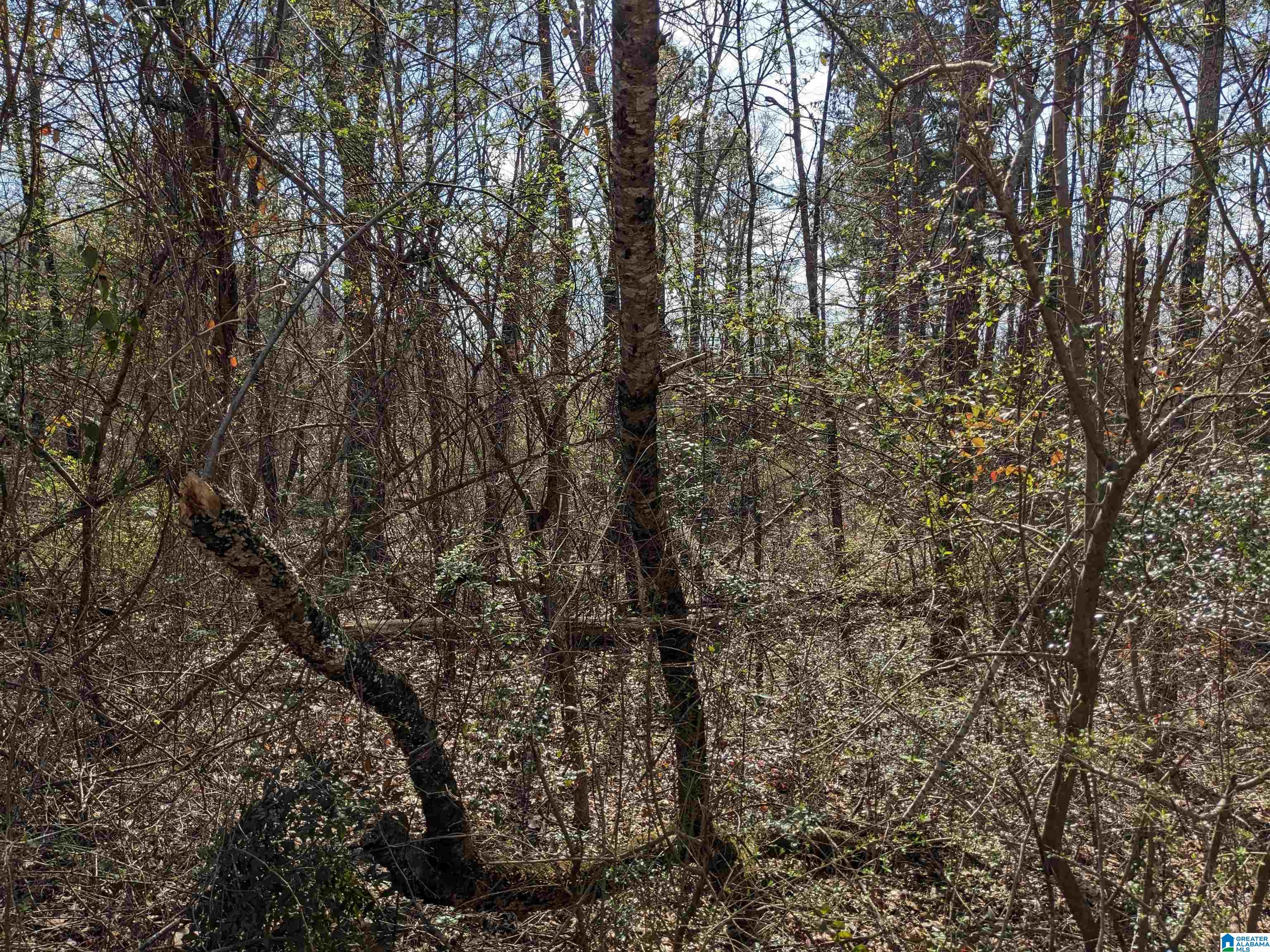 0 Hathaway Heights Road, Unit 2 & 3 Anniston, AL 36207 - Photo 13 of 30