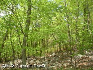 1113 Canterbury Road Bushkill, PA 18324 - Photo 1 of 8 a view of forest