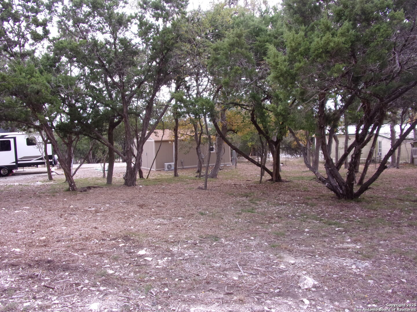 2471 Rolling River Spring Branch, TX 78070 - Photo 24 of 24 a view of a yard with a tree