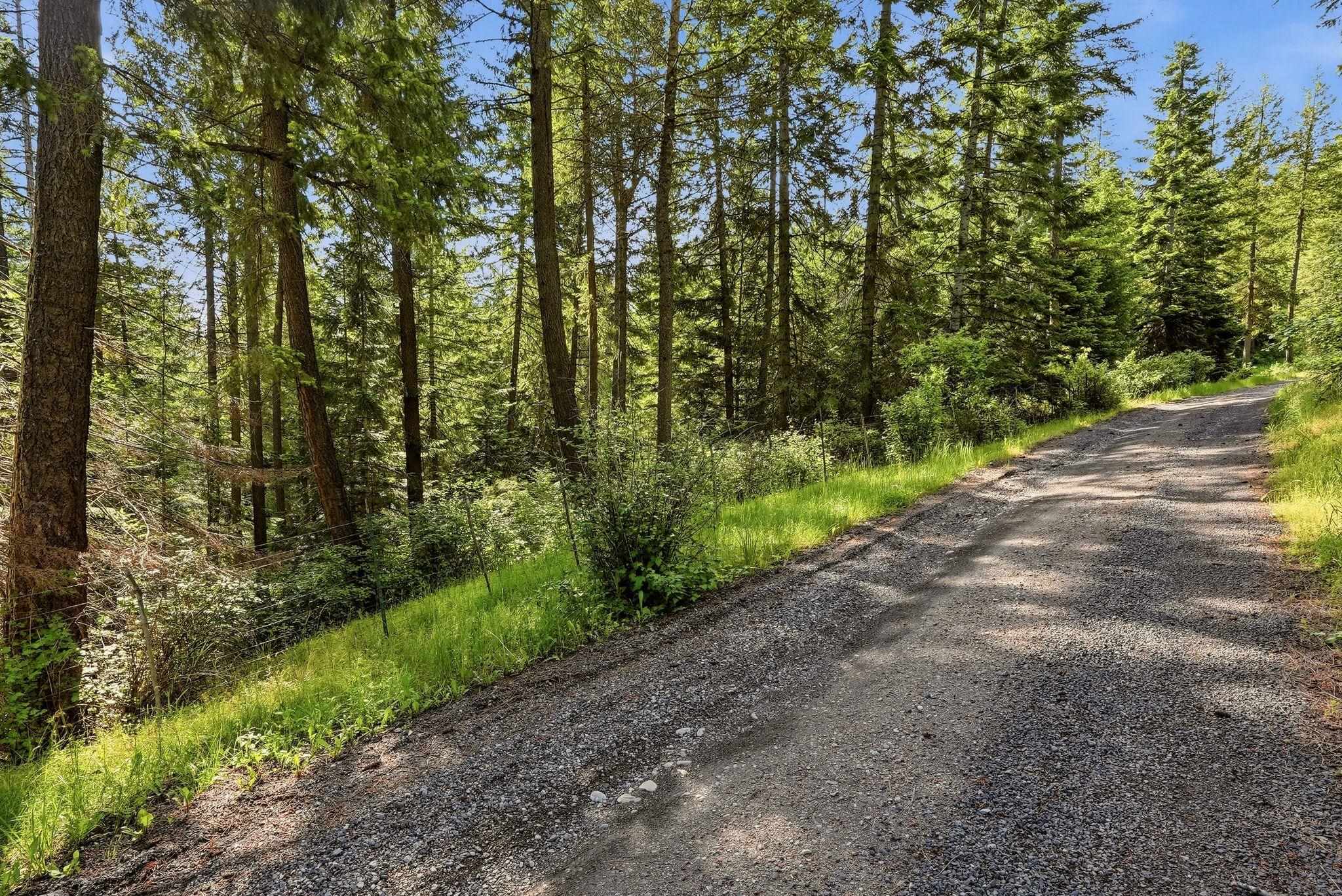 12112 East Burnett Road Mead, WA 99021 - Photo 3 of 23