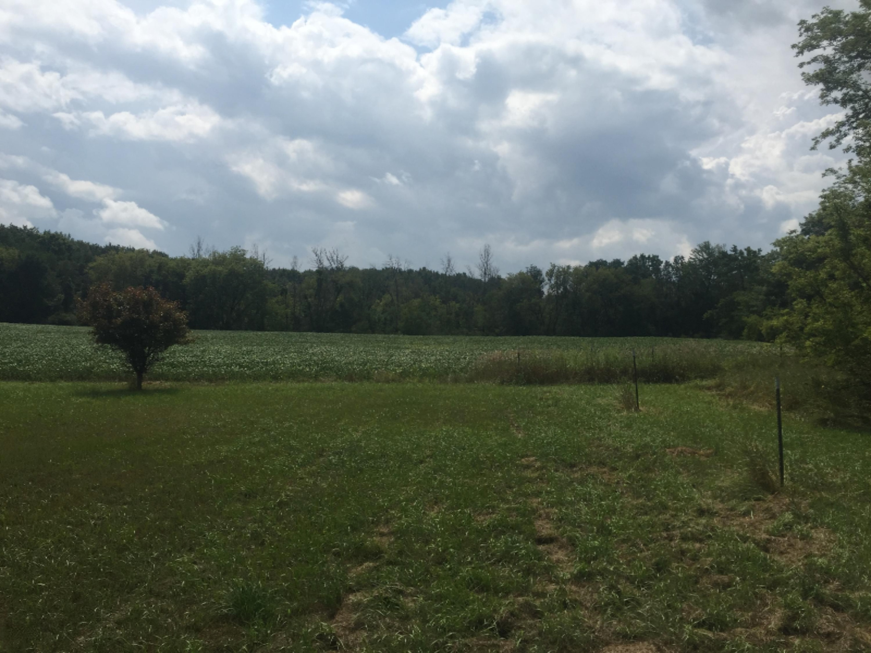 7092 Stedman Road Fenwick, MI 48834 - Photo 4 of 9 043