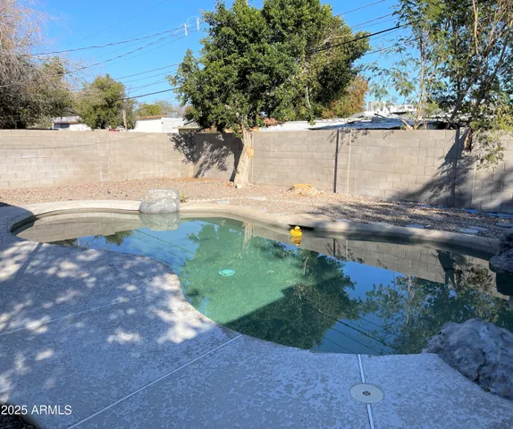 a view of a yard with large trees