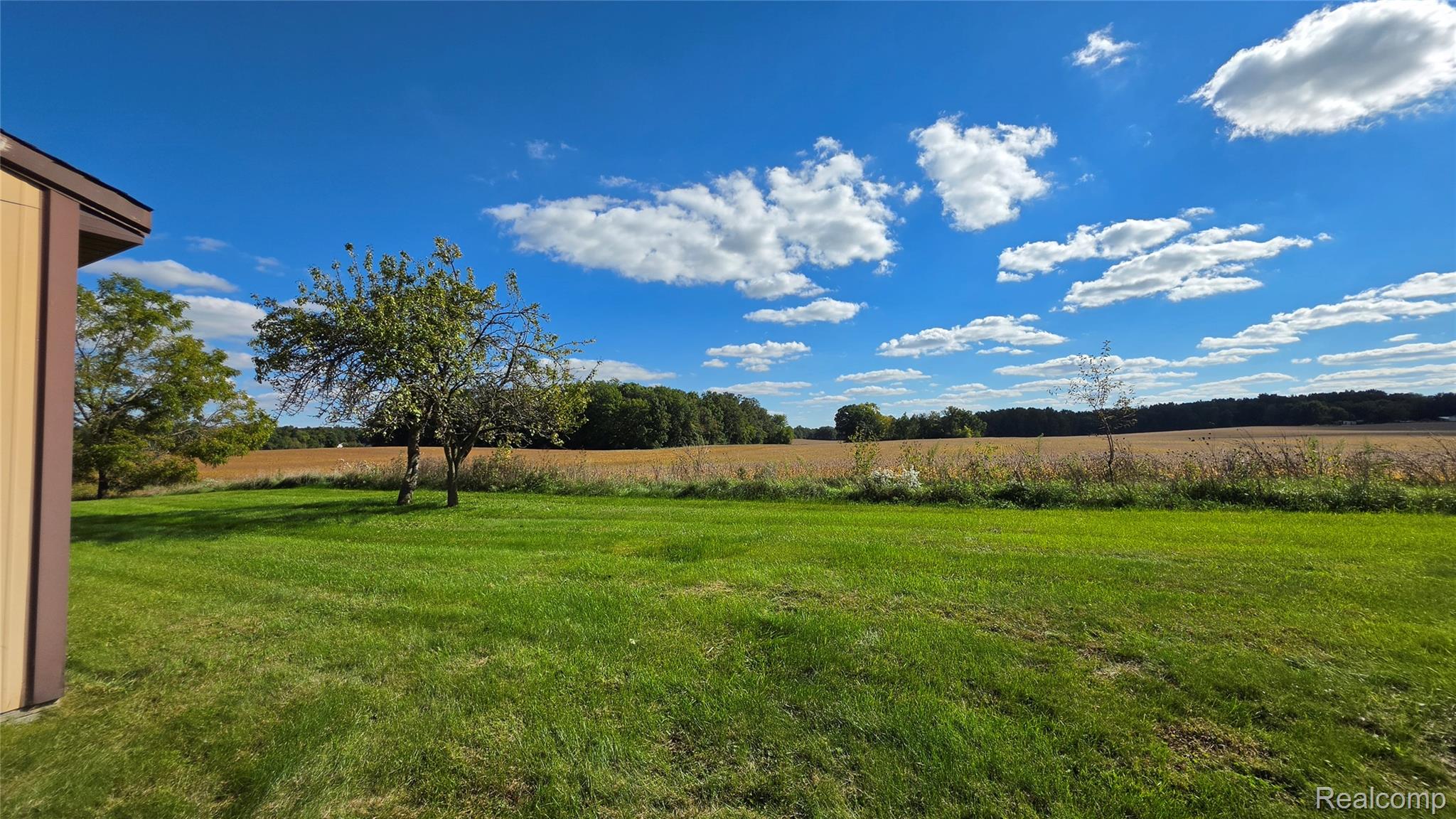 8251 West Ellsworth Road Ann Arbor, MI 48103 - Photo 19 of 57 Expansive grassy lawn with established trees and distant agricultural fields