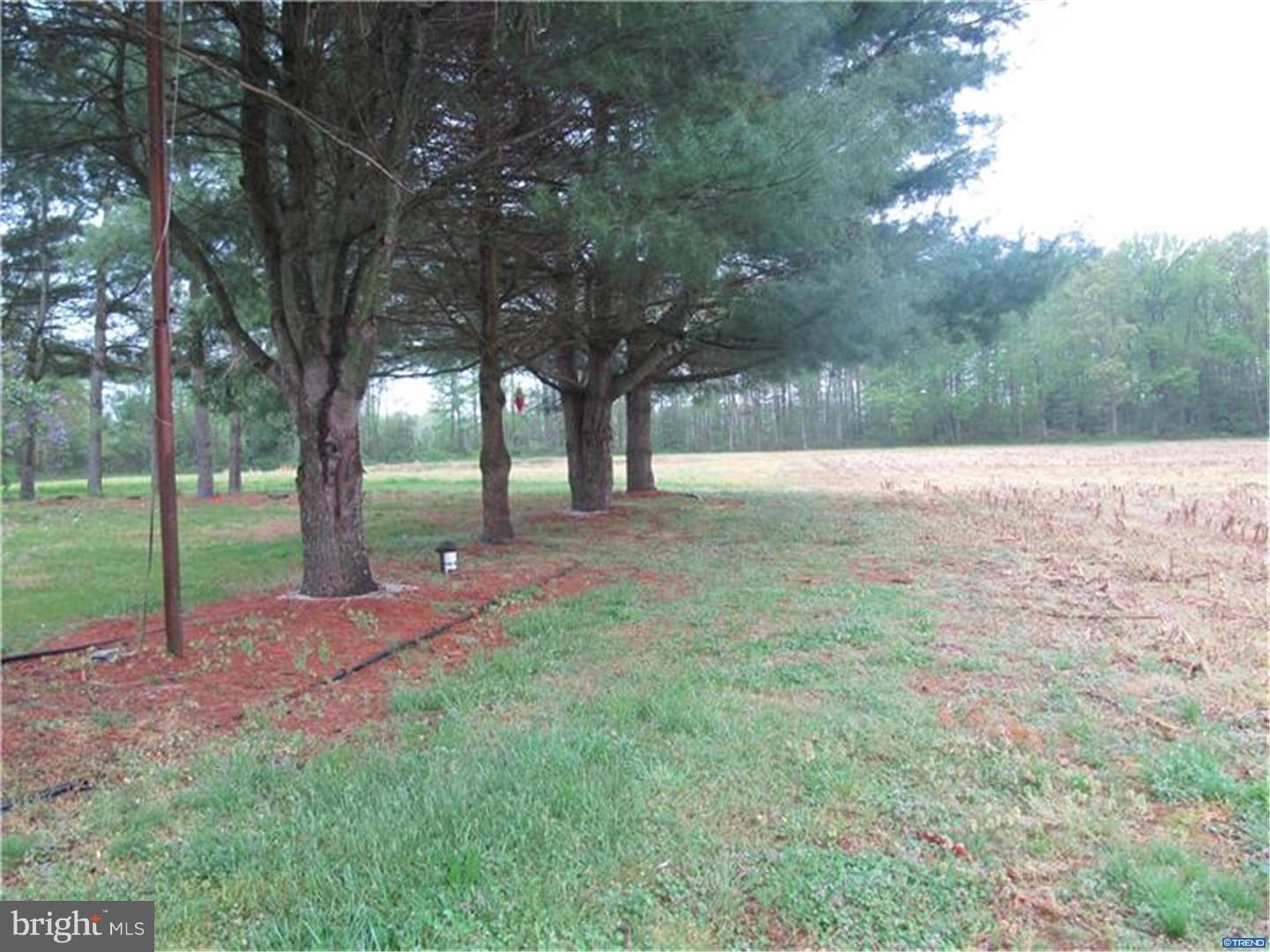 2770 Hartly Road Hartly, DE 19953 - Photo 14 of 16 Gallery Image 14