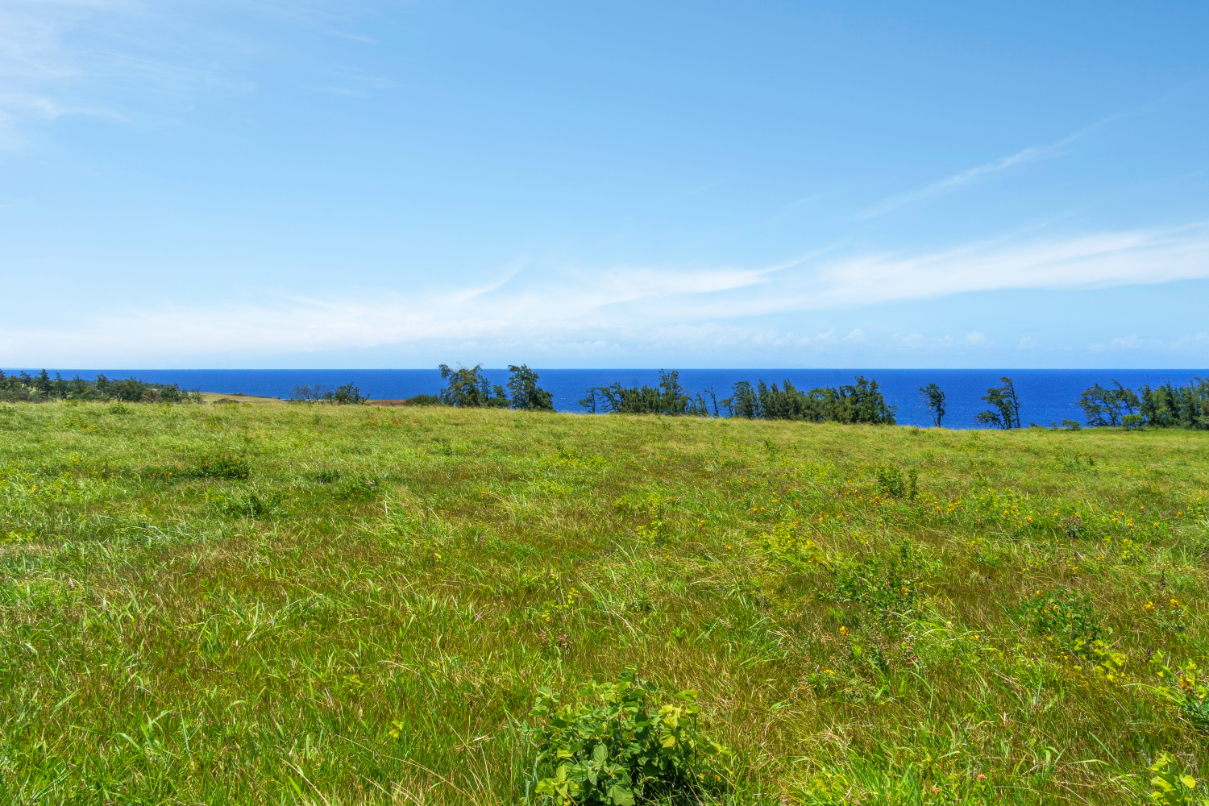 1 Uli Road Kapaau, HI 96755 - Photo 6 of 14