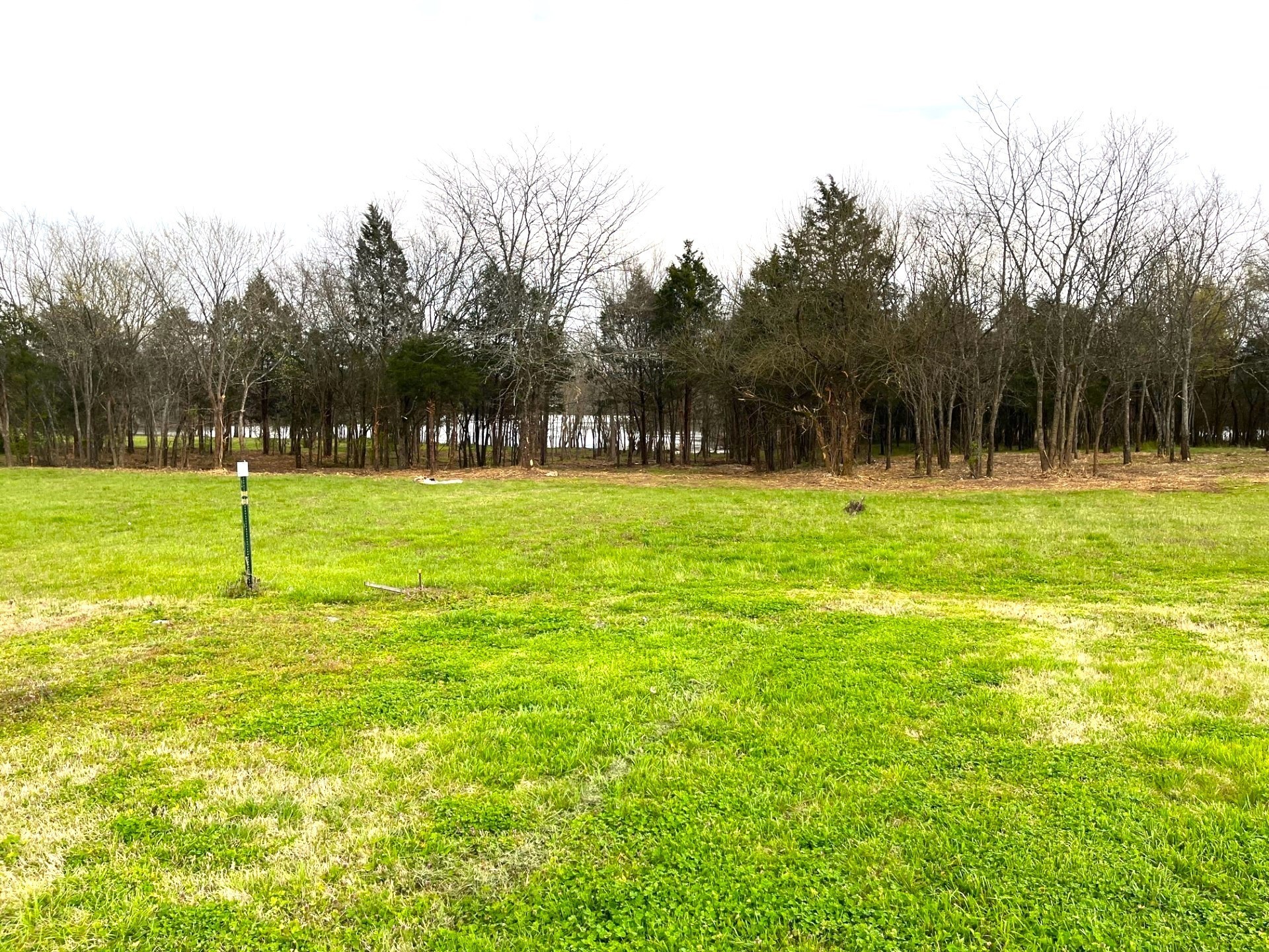 302 Stonebrook Point Lebanon, TN 37087 - Photo 5 of 11