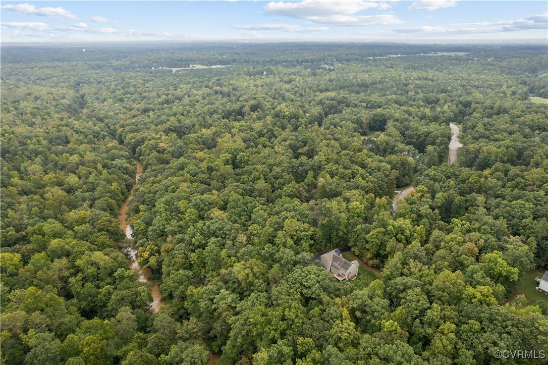 17300 Creekbed Road Chesterfield, VA 23838 - Photo 3 of 49 Situated on a private 1.5 acre lot at the end of a