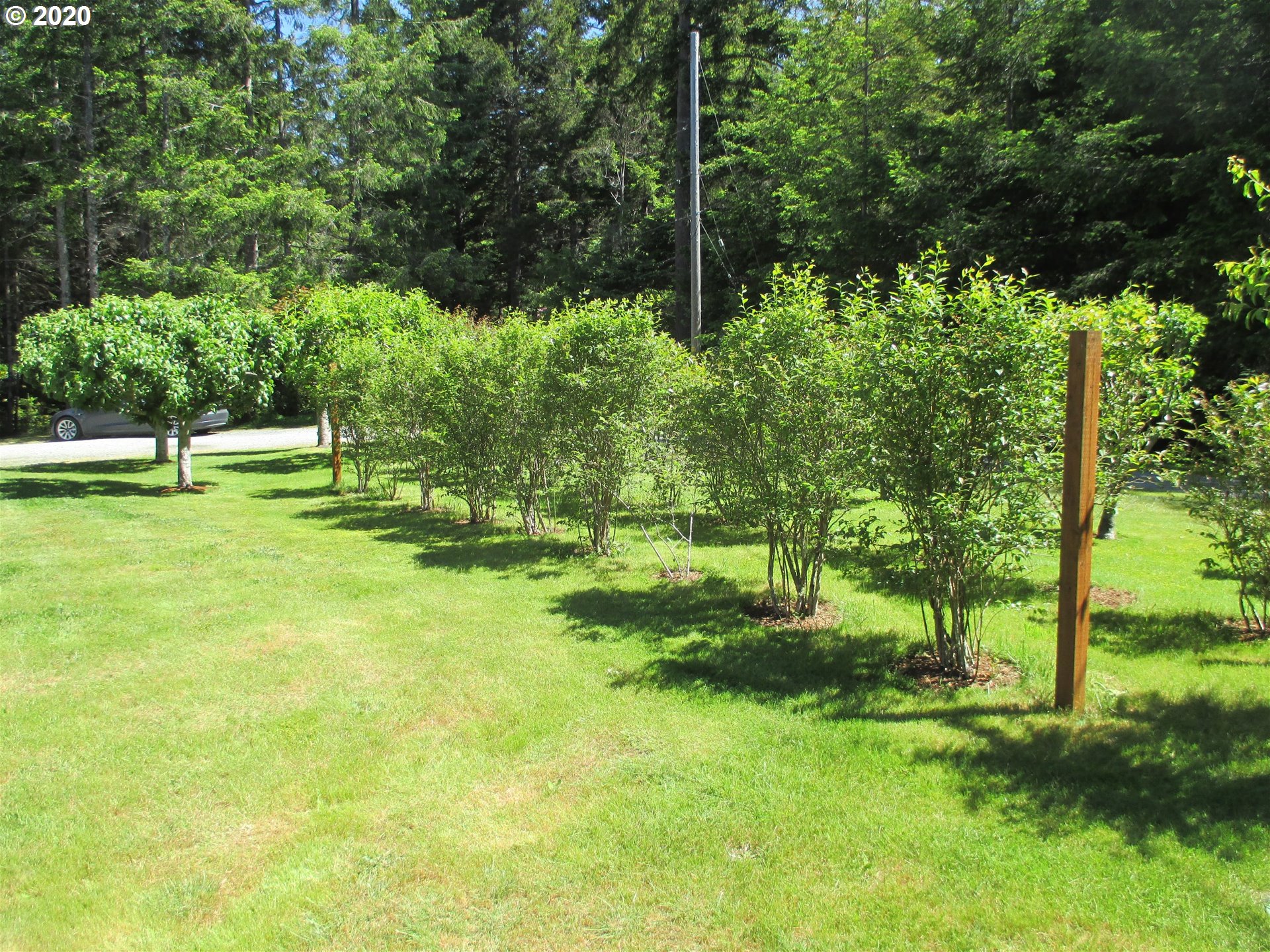 55426 Frosty Road Bandon, OR 97411 - Photo 9 of 32 Gallery Image 9