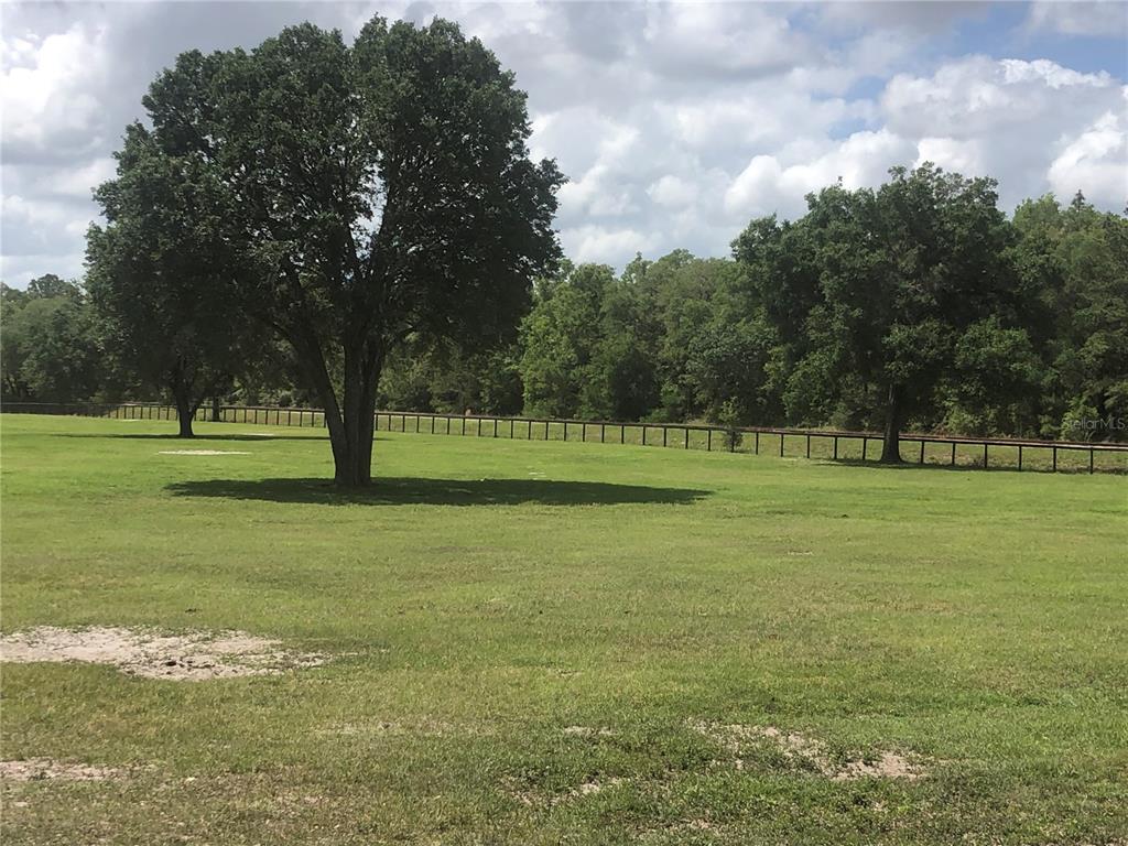 30th Street Morriston, FL 32668 - Photo 1 of 5