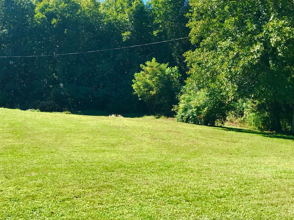 3574 Bellspur Road Meadows Of Dan, VA 24120 - Photo 59 of 75 Gallery Image 59