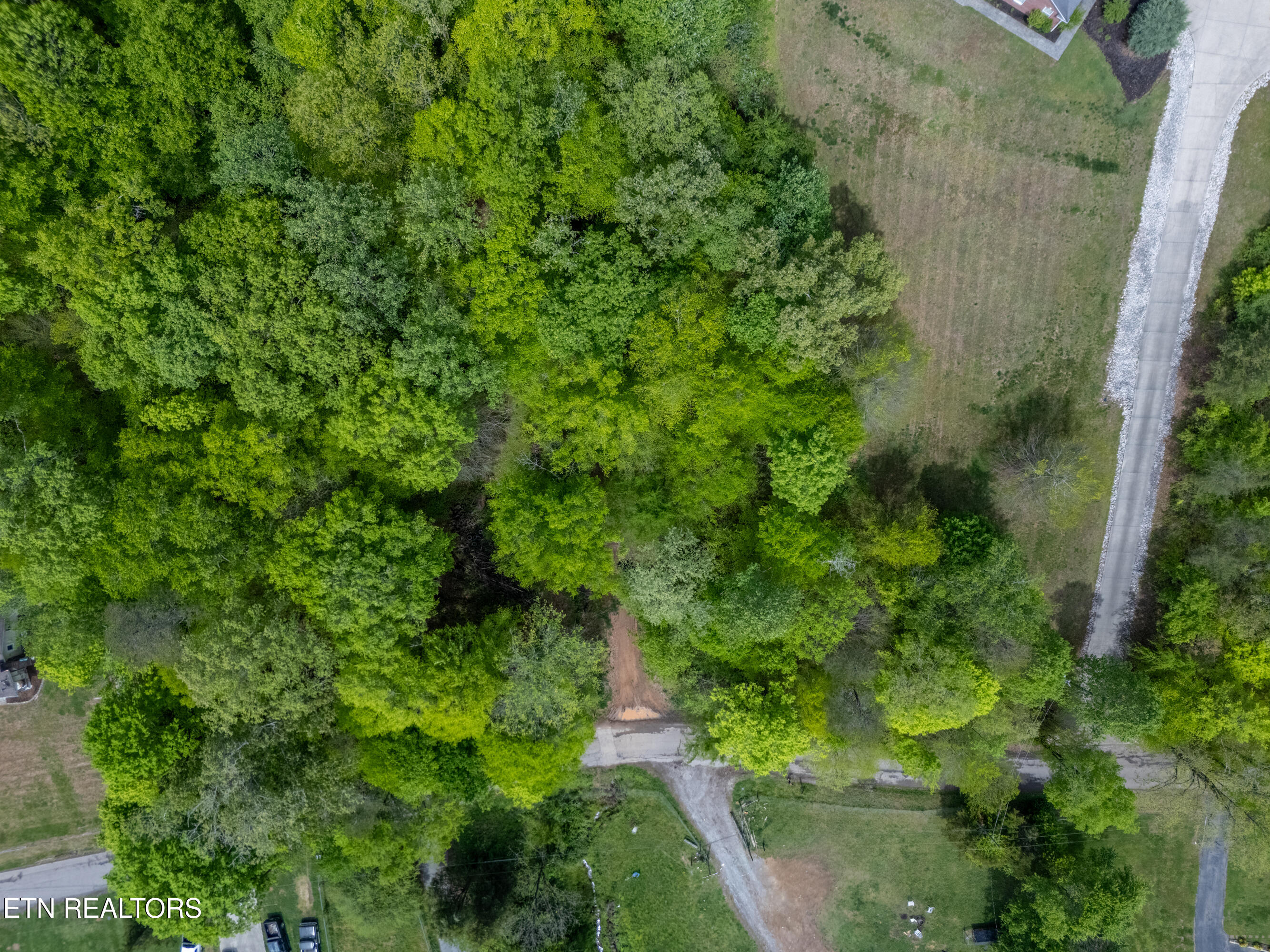 0 West Bullrun Valley Drive Heiskell, TN 37754 - Photo 16 of 23 16