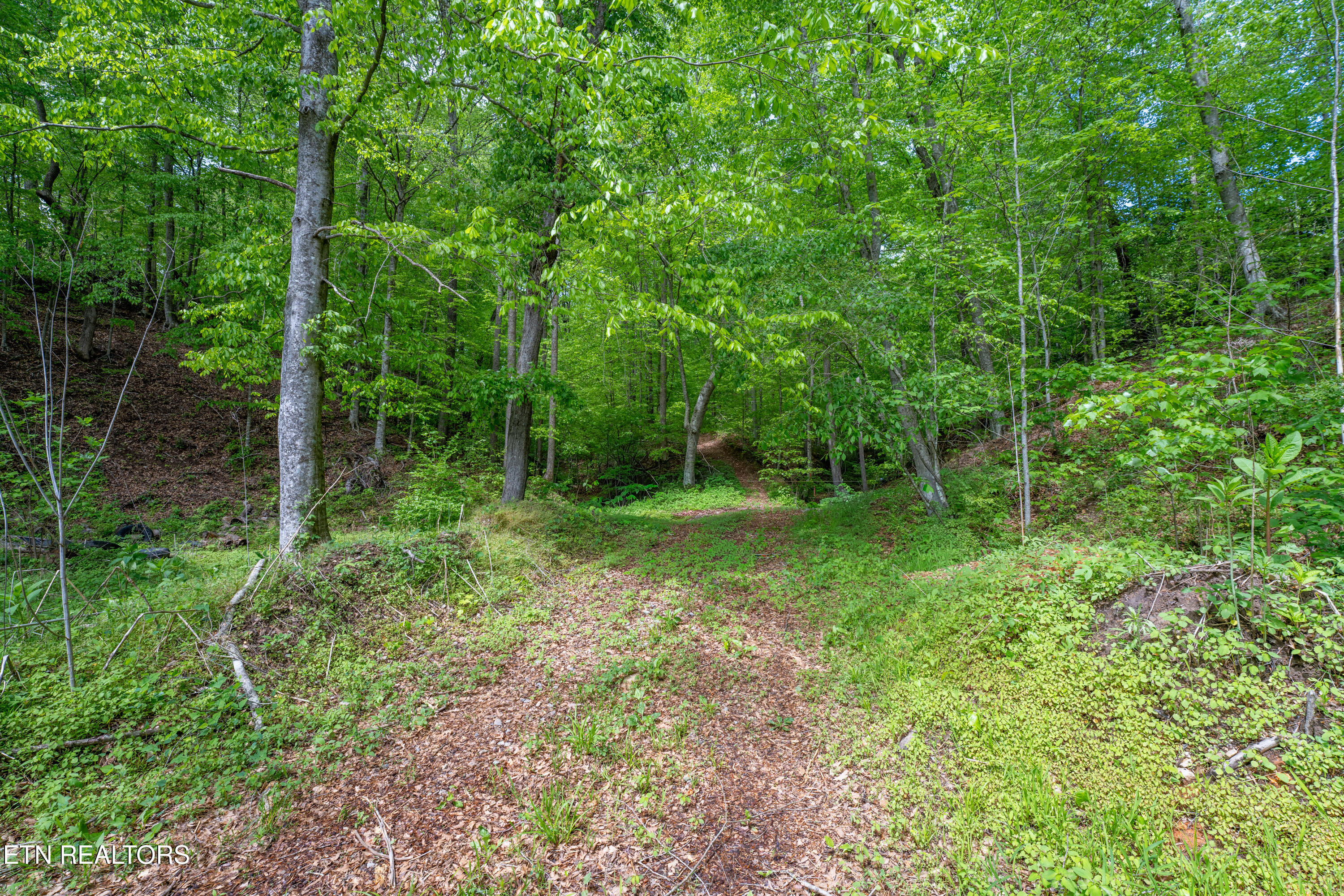 0 West Bullrun Valley Drive Heiskell, TN 37754 - Photo 17 of 23 17