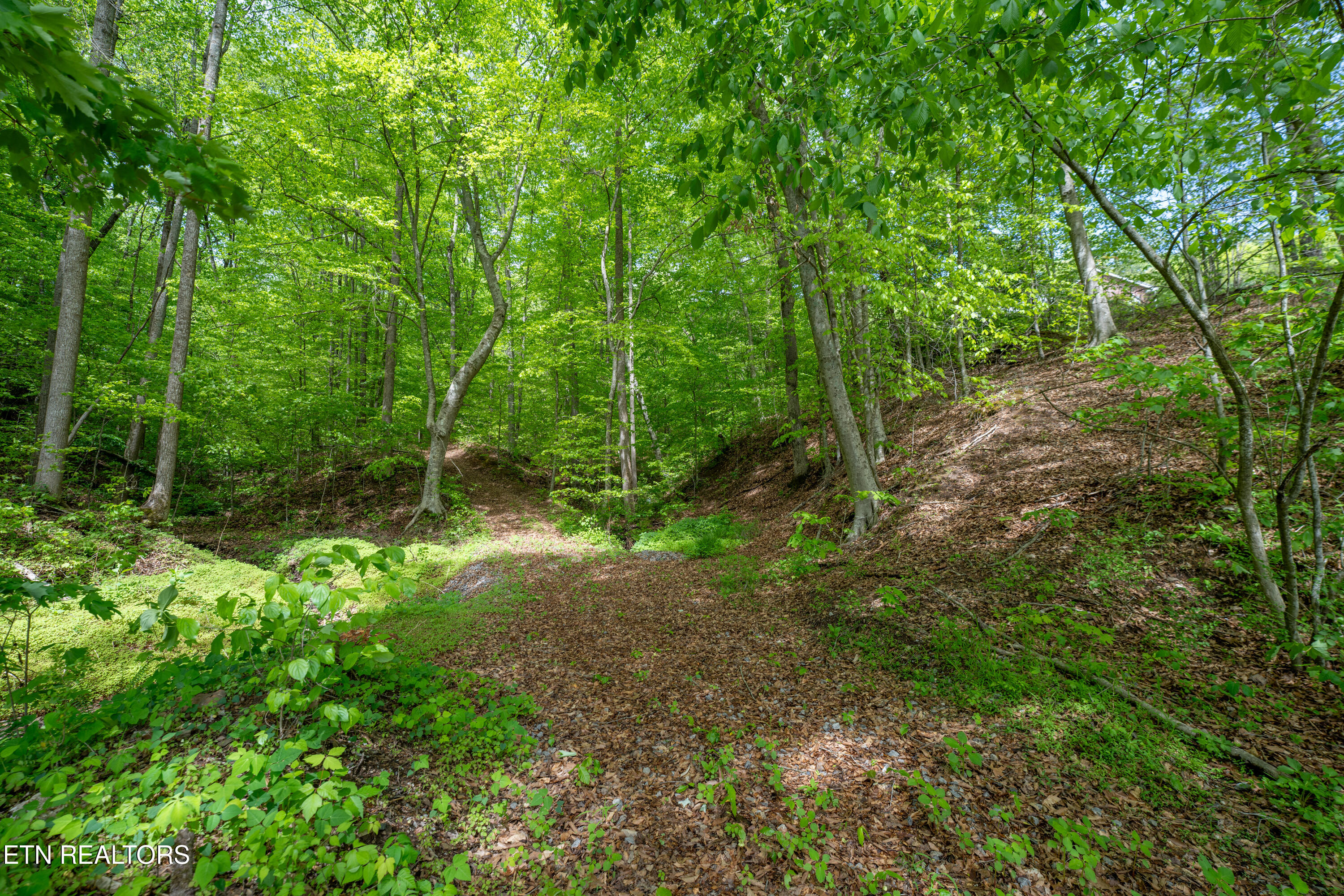 0 West Bullrun Valley Drive Heiskell, TN 37754 - Photo 18 of 23 18