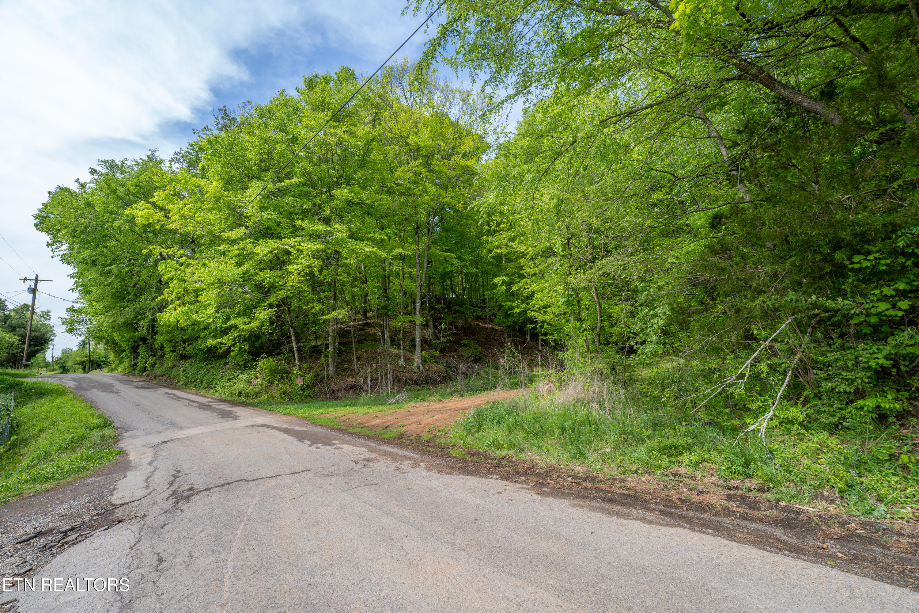 0 West Bullrun Valley Drive Heiskell, TN 37754 - Photo 21 of 23 21