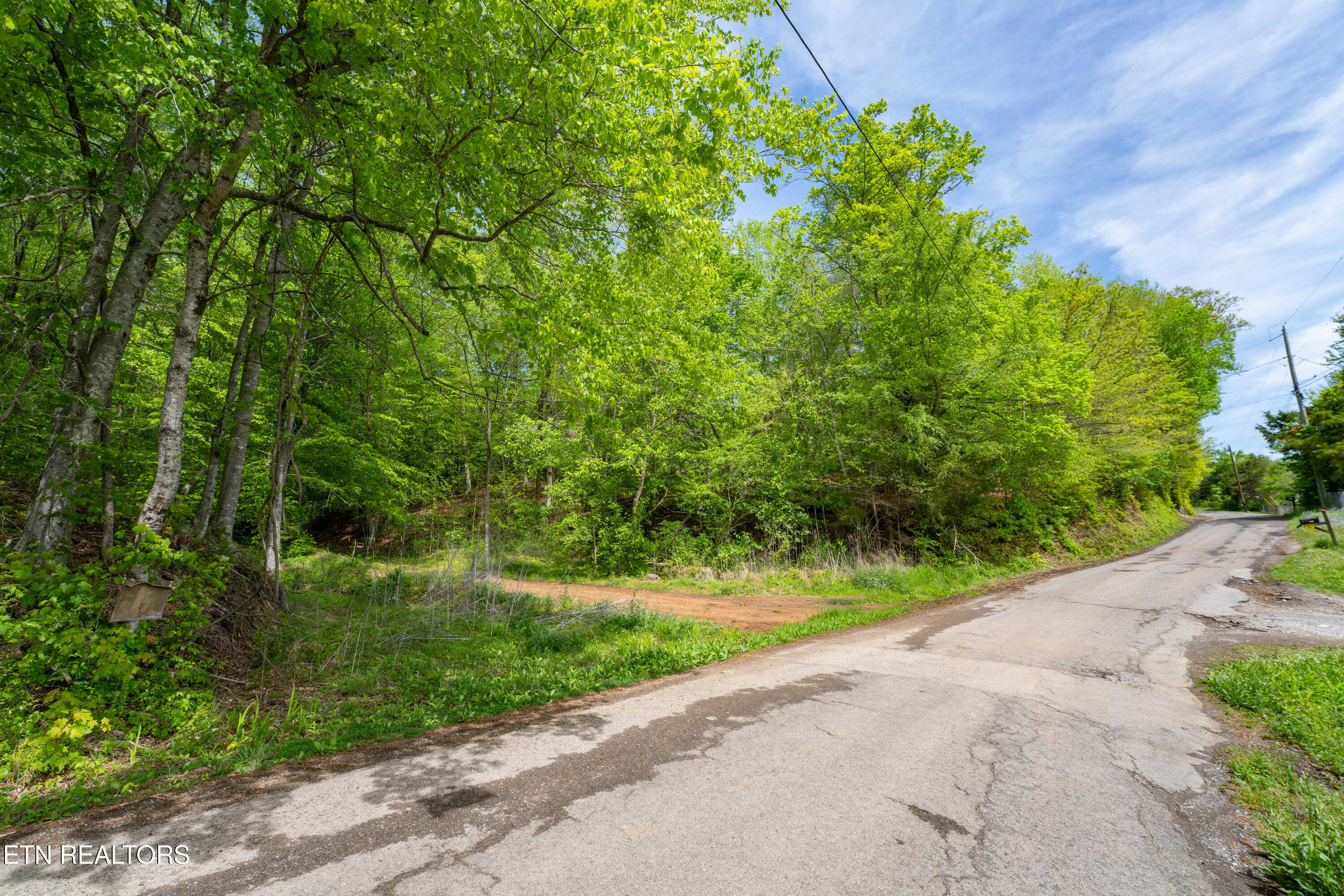 0 West Bullrun Valley Drive Heiskell, TN 37754 - Photo 22 of 23 22