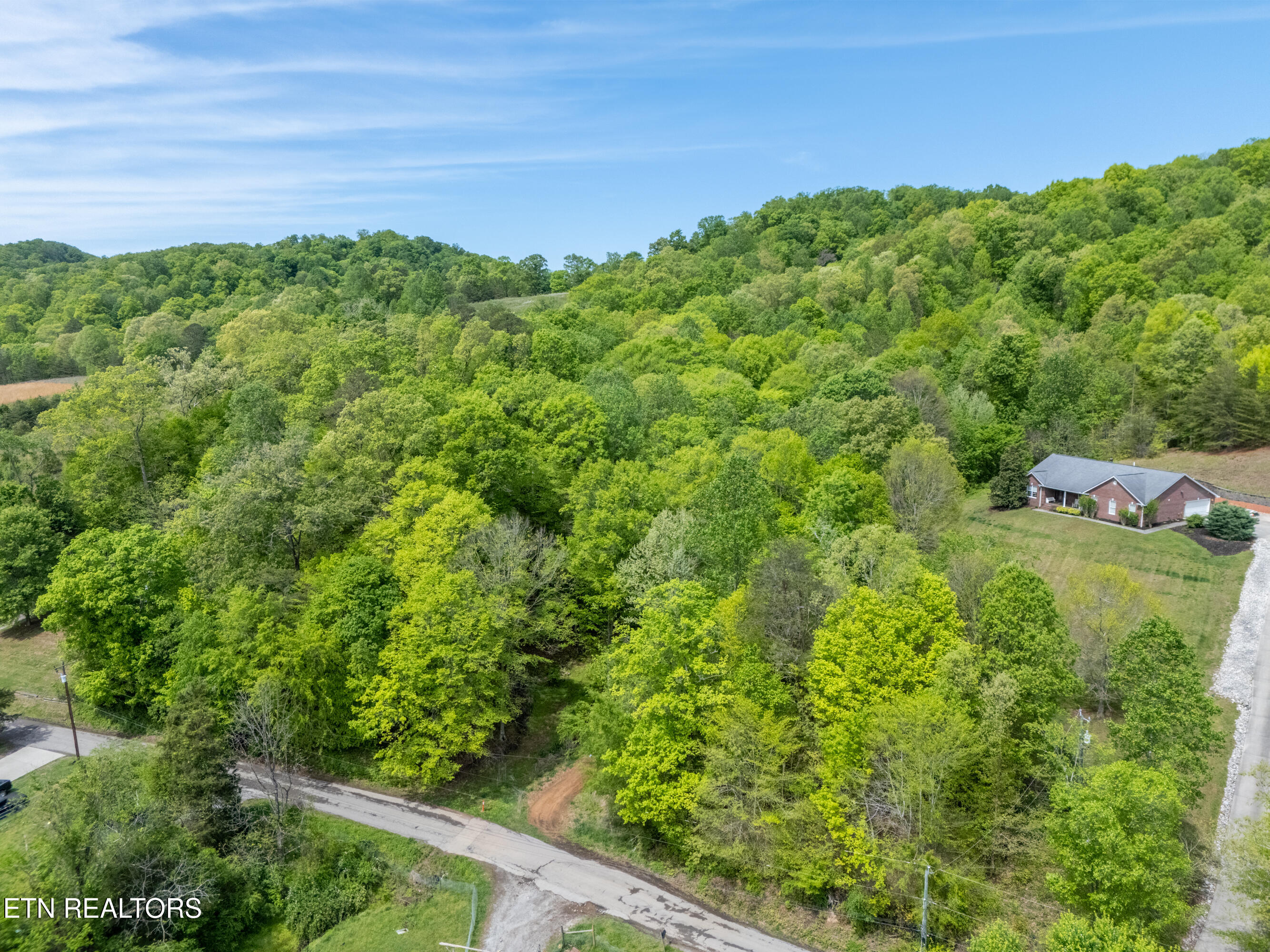 0 West Bullrun Valley Drive Heiskell, TN 37754 - Photo 4 of 23 4