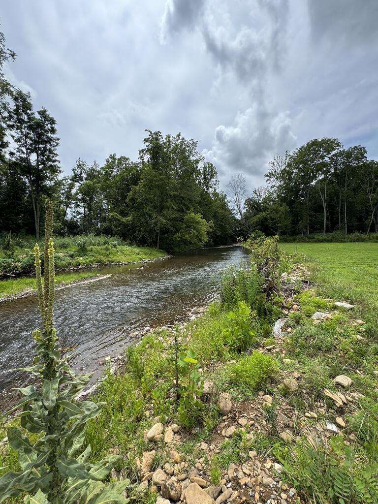 484 Riverside Road Chilhowie, VA 24319 - Photo 38 of 55 Gallery Image 38