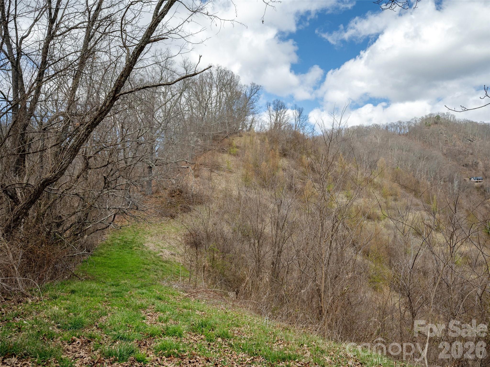Tbd Wilson Cove Road Canton, NC 28716 - Photo 6 of 23