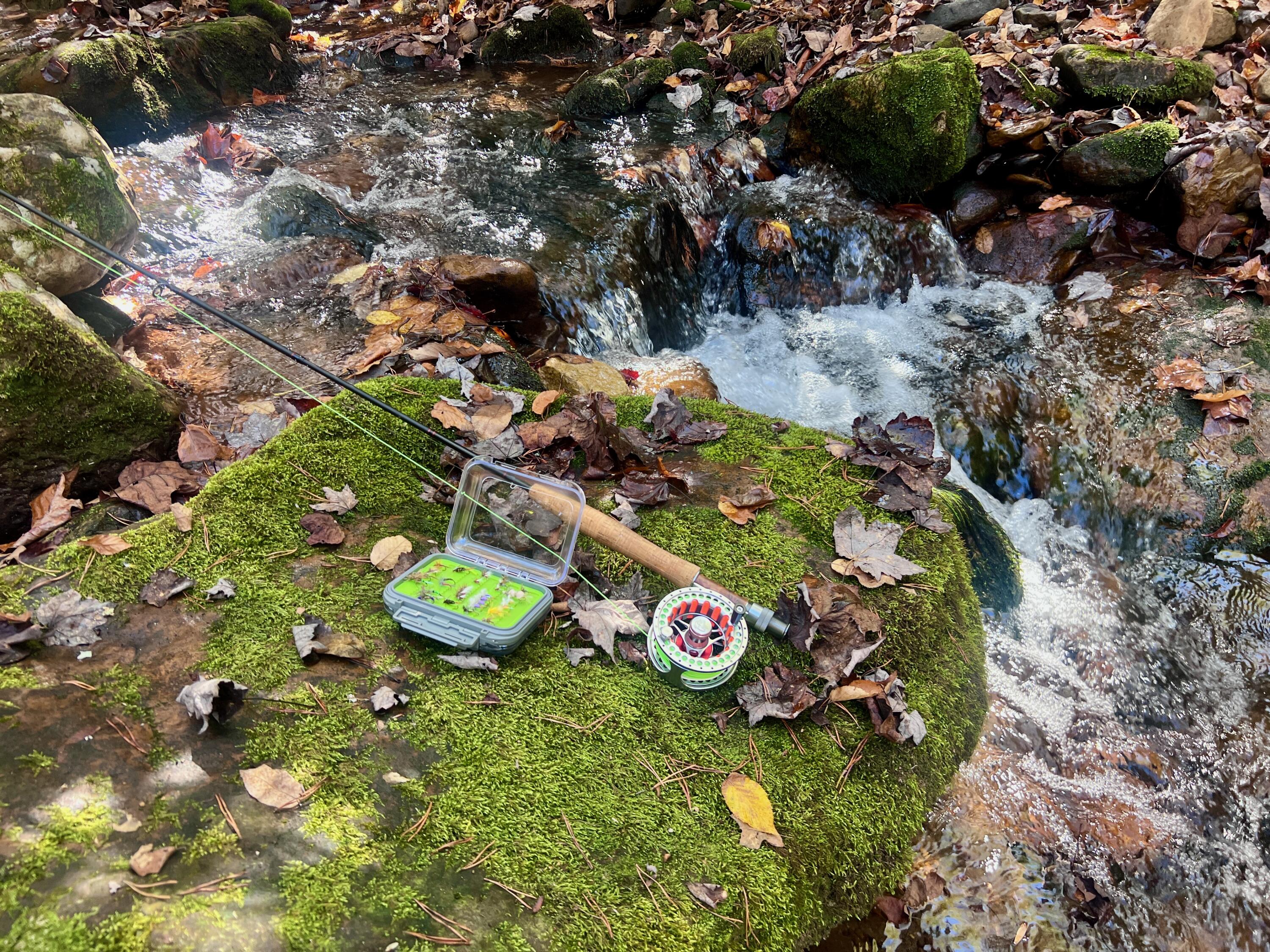 1504 Hutchison Road Newport, VA 24128 - Photo 41 of 99