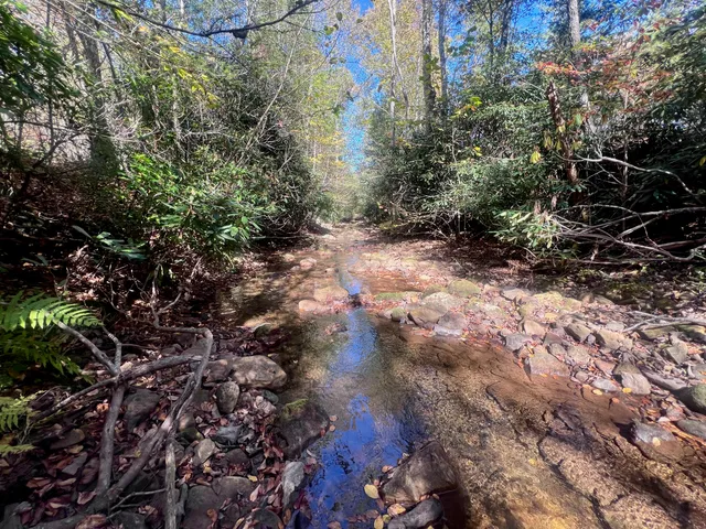 a very nice looking dining room with a rug