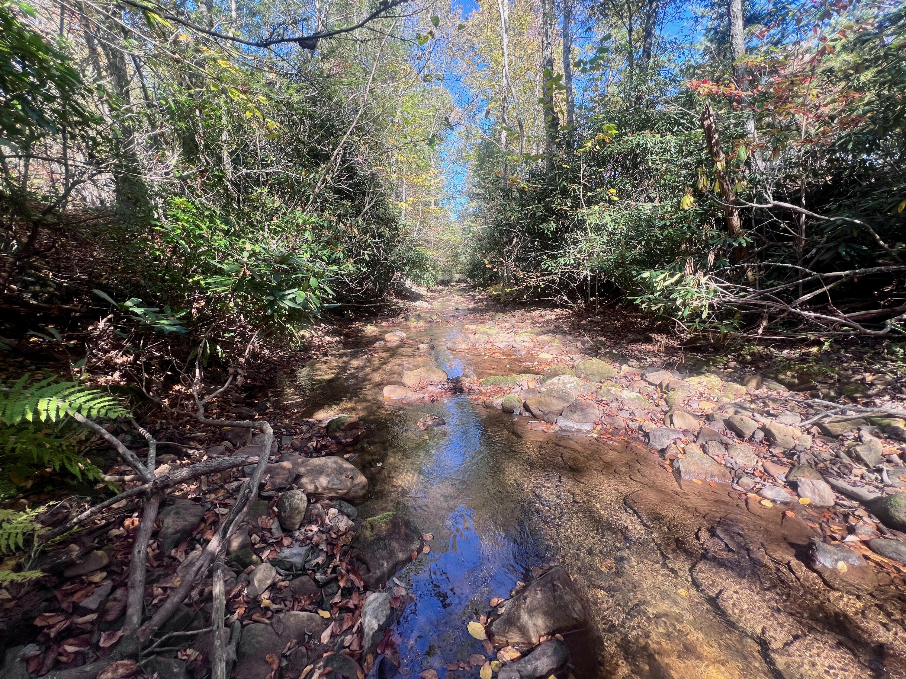 1504 Hutchison Road Newport, VA 24128 - Photo 43 of 99 a view of street with lots of trees