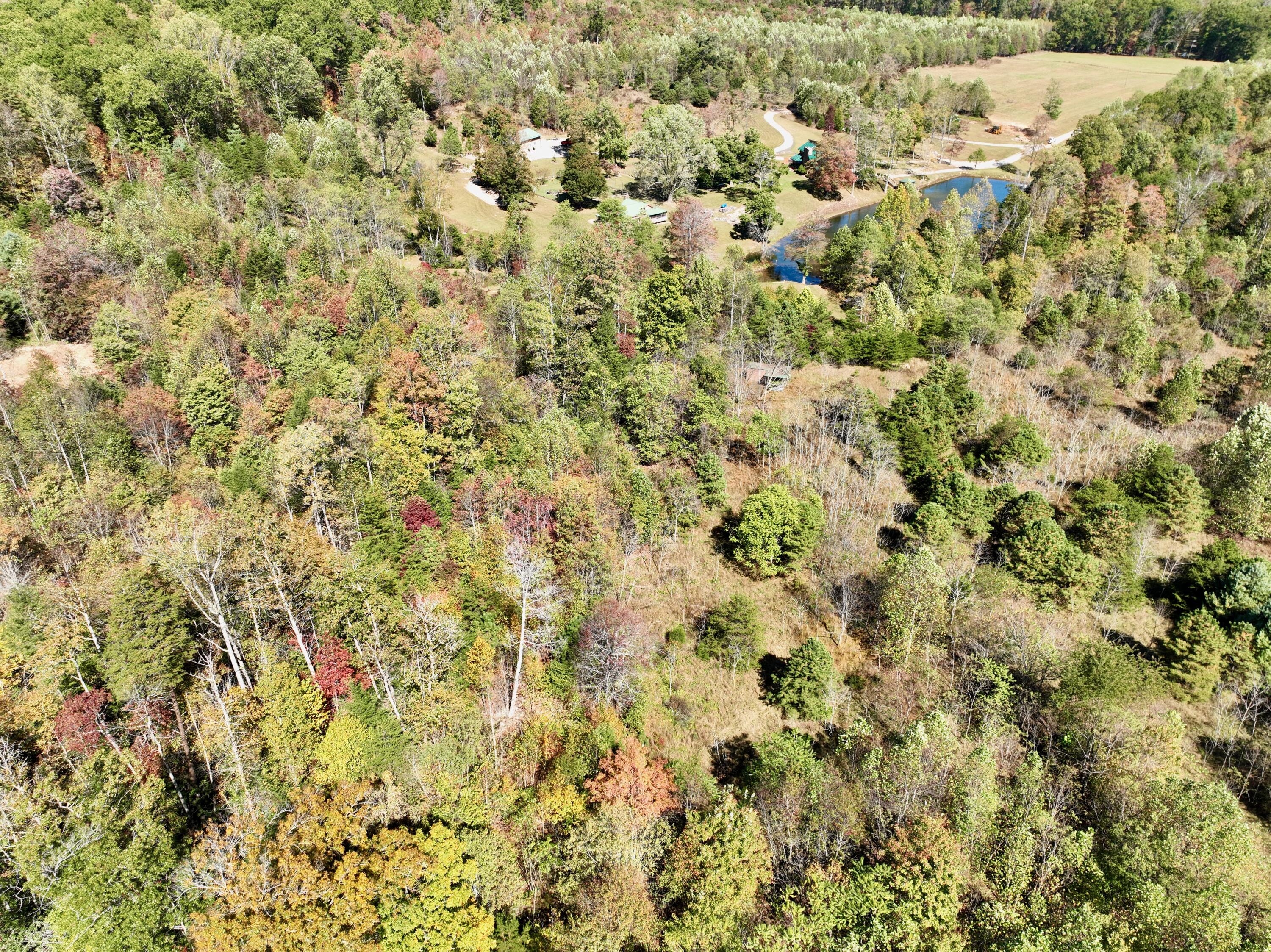 1504 Hutchison Road Newport, VA 24128 - Photo 47 of 99 a - 15
