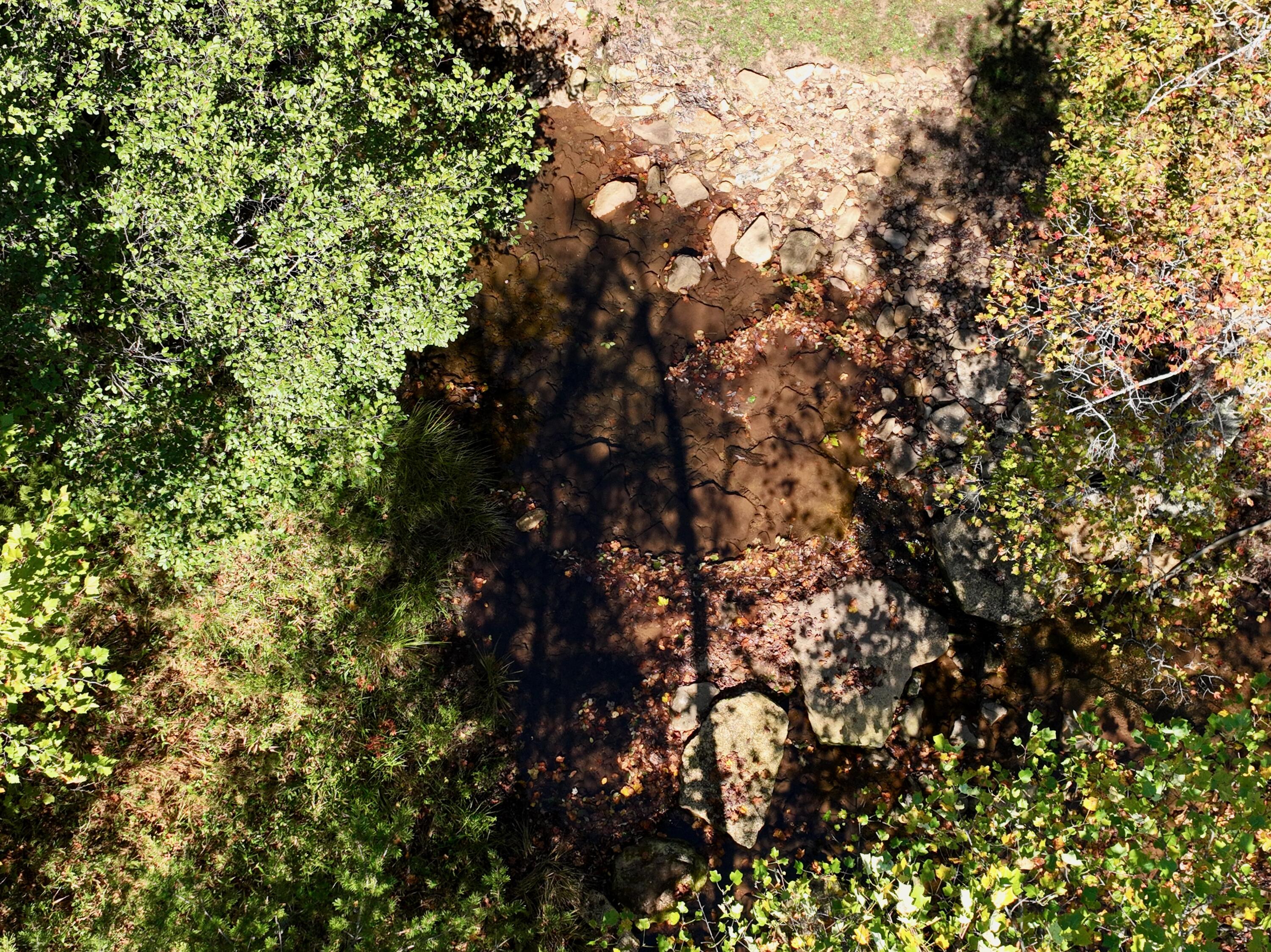 1504 Hutchison Road Newport, VA 24128 - Photo 49 of 99 a - 13