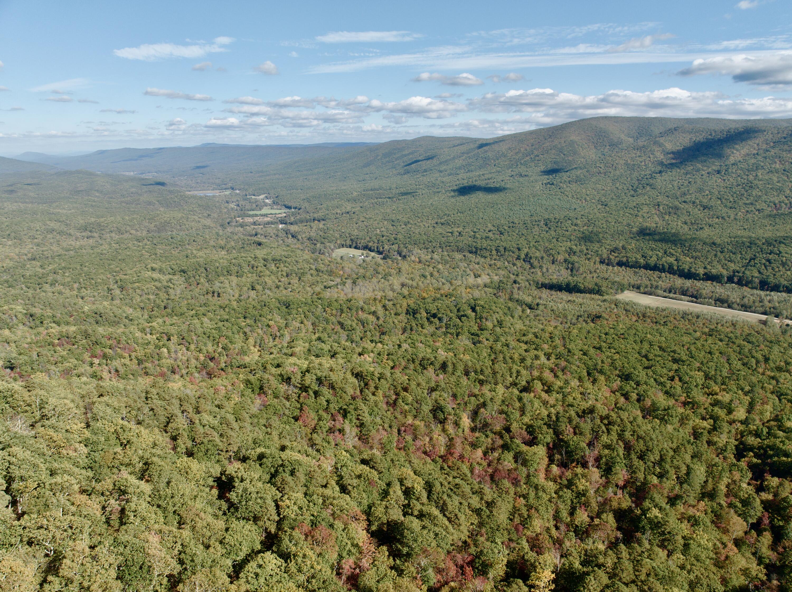 1504 Hutchison Road Newport, VA 24128 - Photo 61 of 99 a view of a field with an ocean view