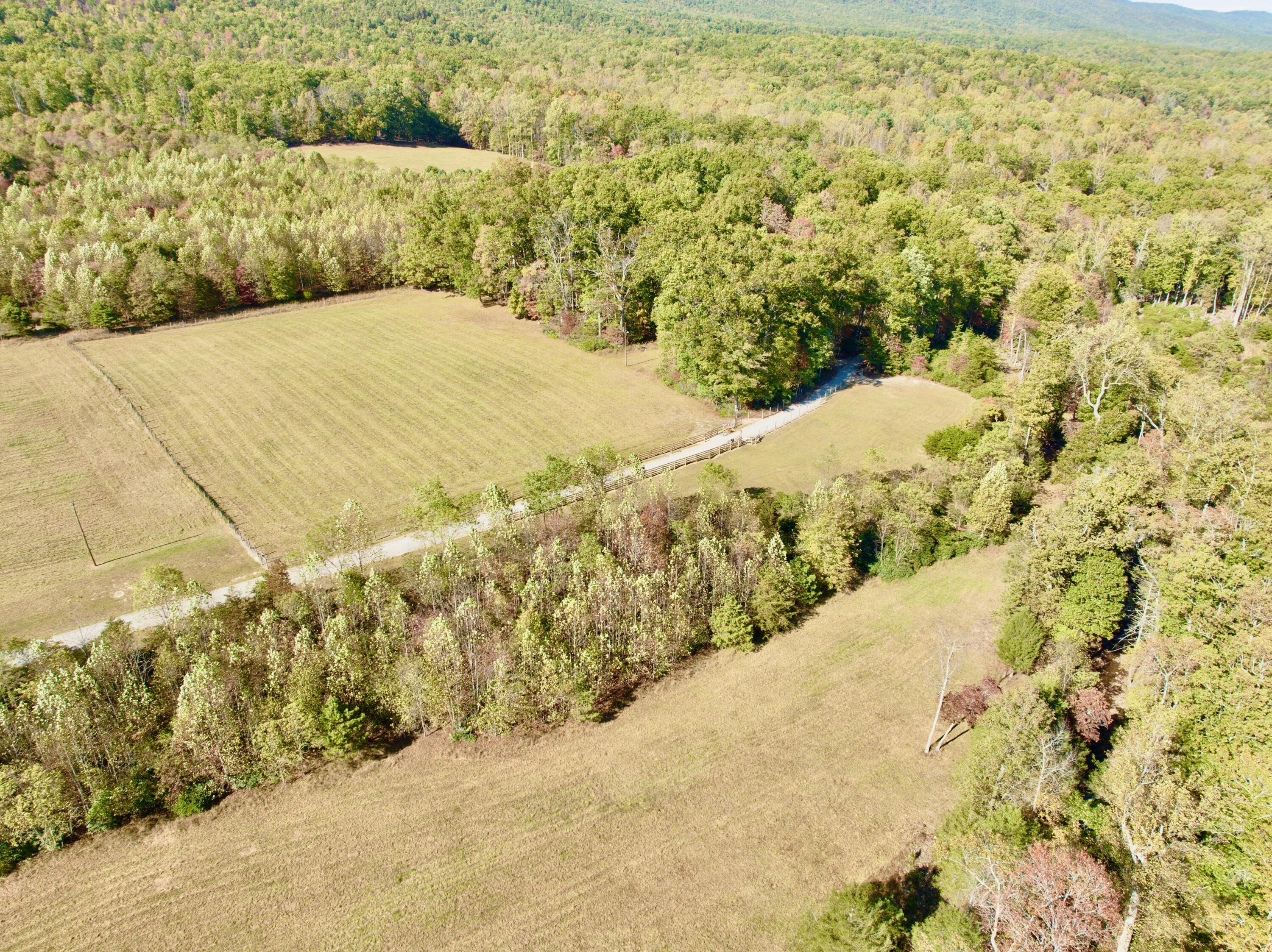 1504 Hutchison Road Newport, VA 24128 - Photo 65 of 99 a view of a yard with wooden fence