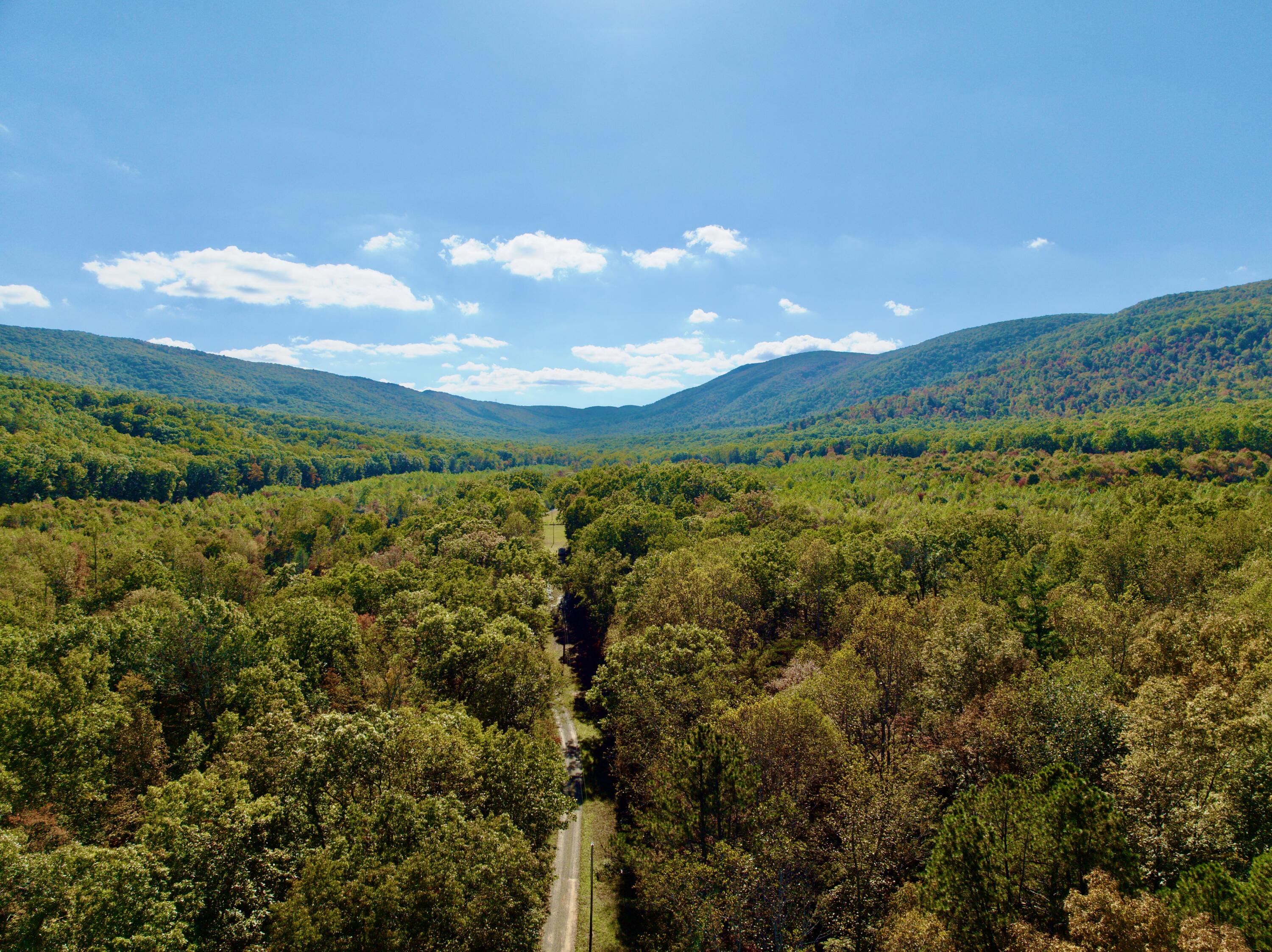 1504 Hutchison Road Newport, VA 24128 - Photo 66 of 99 a - 1 (2)