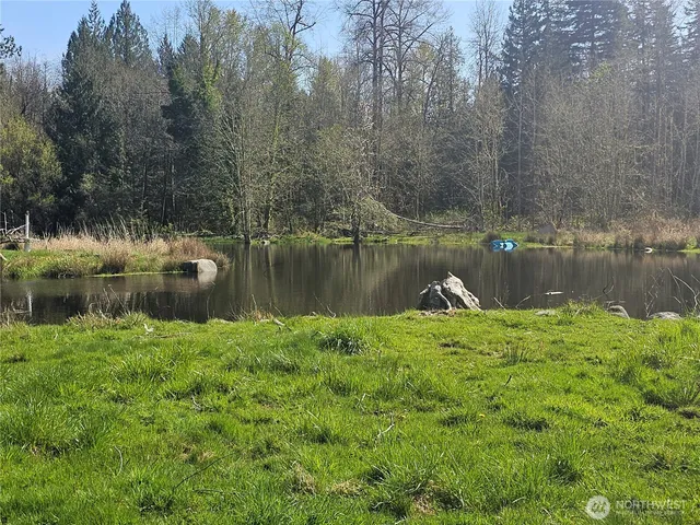 a view of a lake with a yard and large trees
